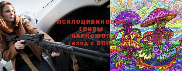гашик Алексеевка