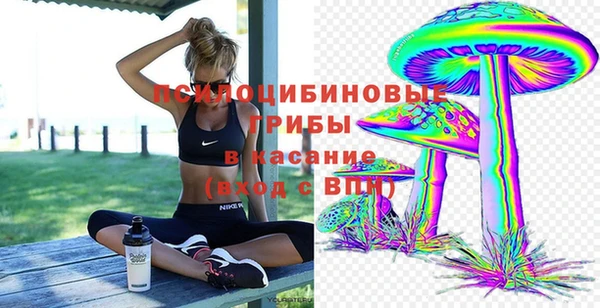 гашик Алексеевка