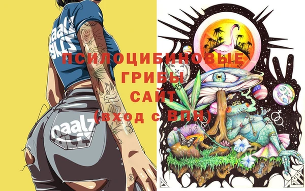 гашик Алексеевка