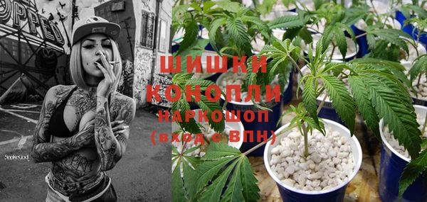 гашик Алексеевка